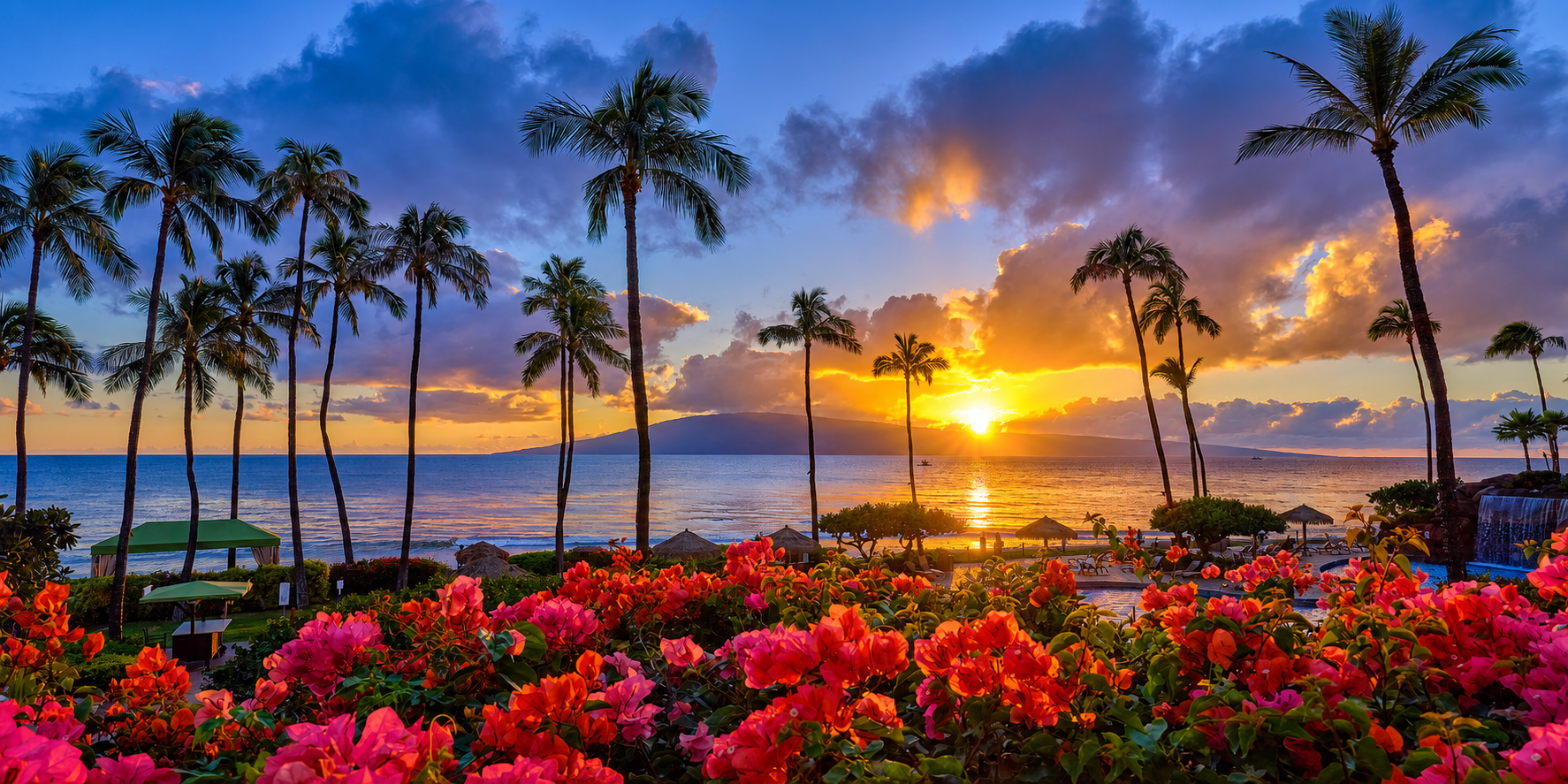 Maui sunset over the ocean with palm trees and bright tropical flowers.